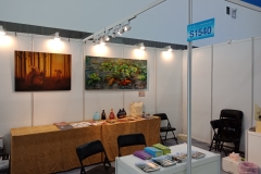 IMG20180829142522